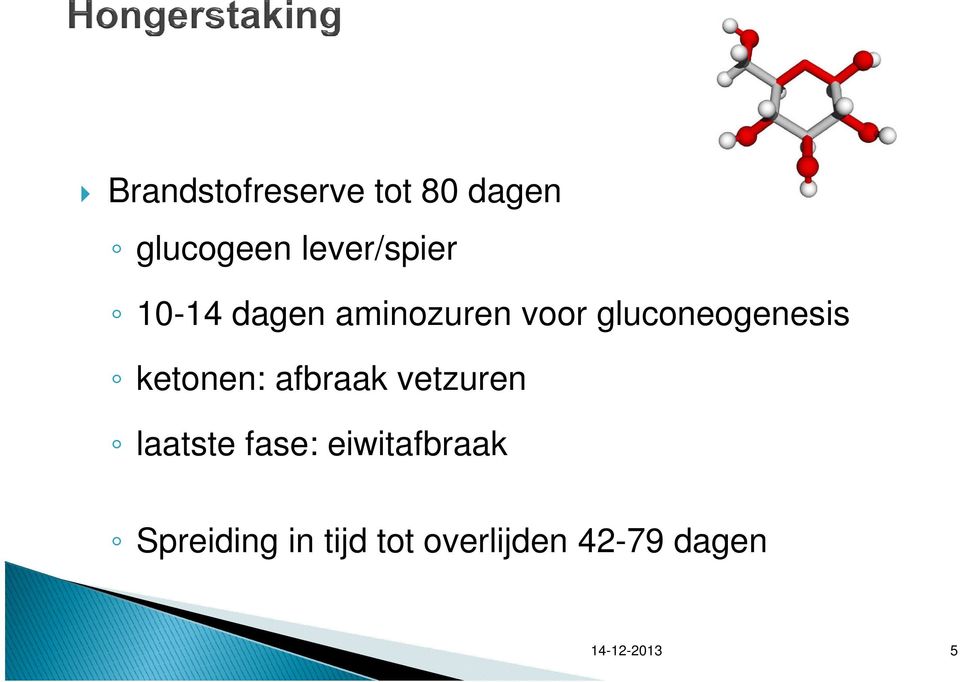 gluconeogenesis ketonen: afbraak vetzuren