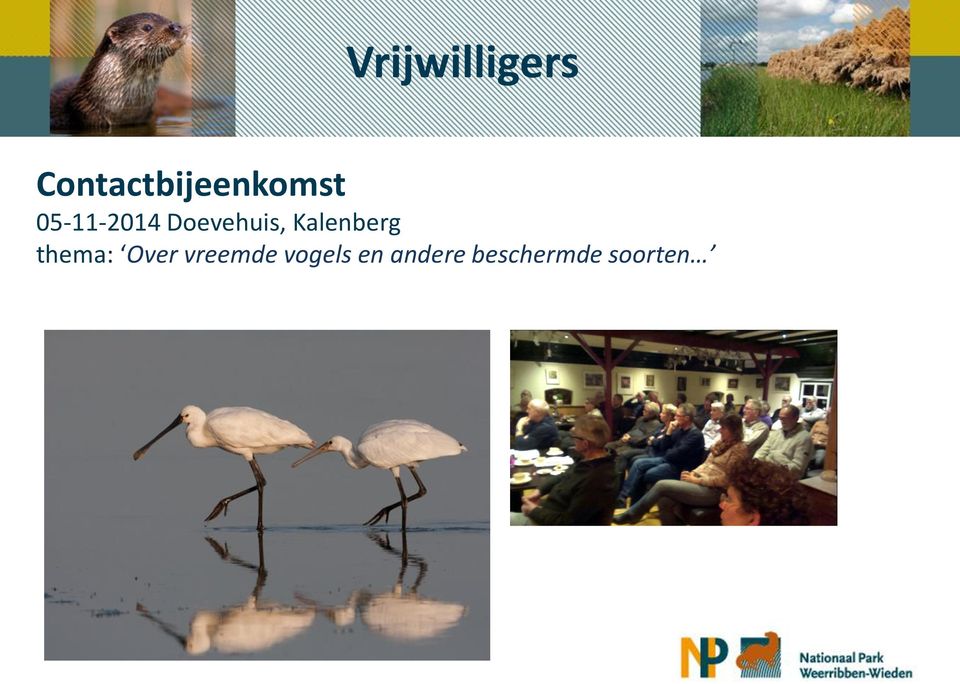 Doevehuis, Kalenberg thema: