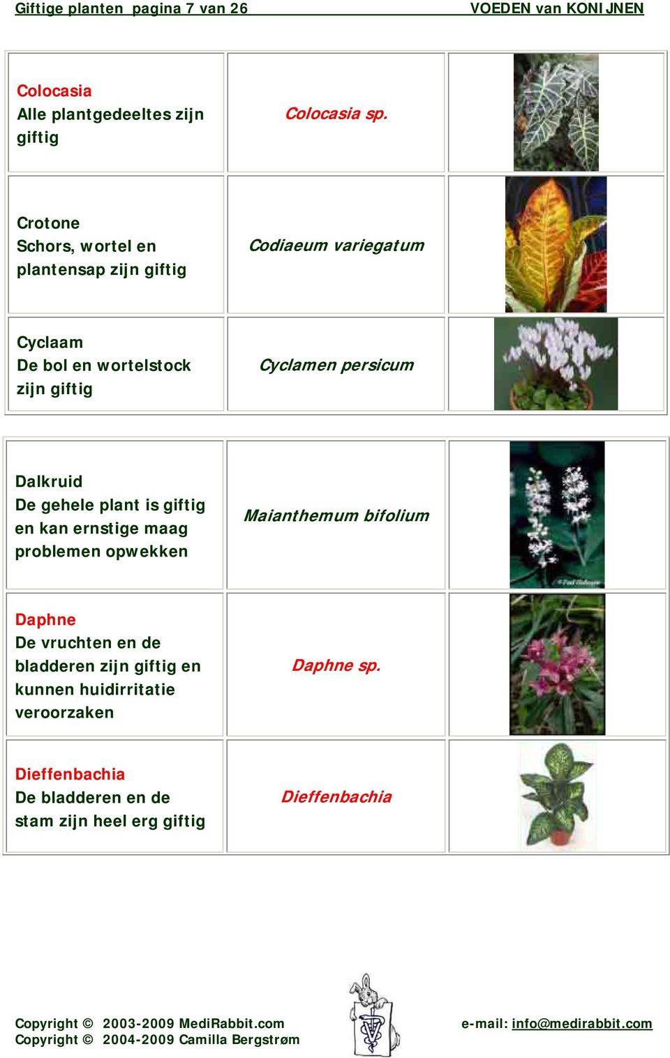 Cyclamen persicum Dalkruid De gehele plant is en kan ernstige maag problemen opwekken Maianthemum