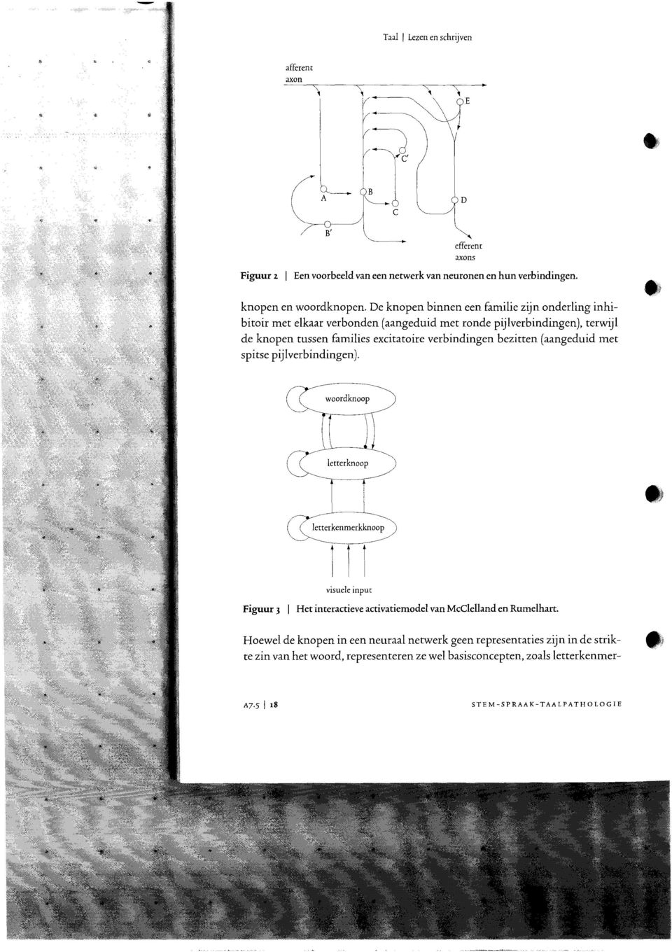 bezitten (aangeduid met spitse pijlverbindingen). woordknoop letterknoop visuele input Figuur 3 I Het interactieve activatiemodel van McClelland en Rumelhart.