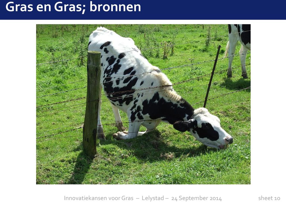 bronnen