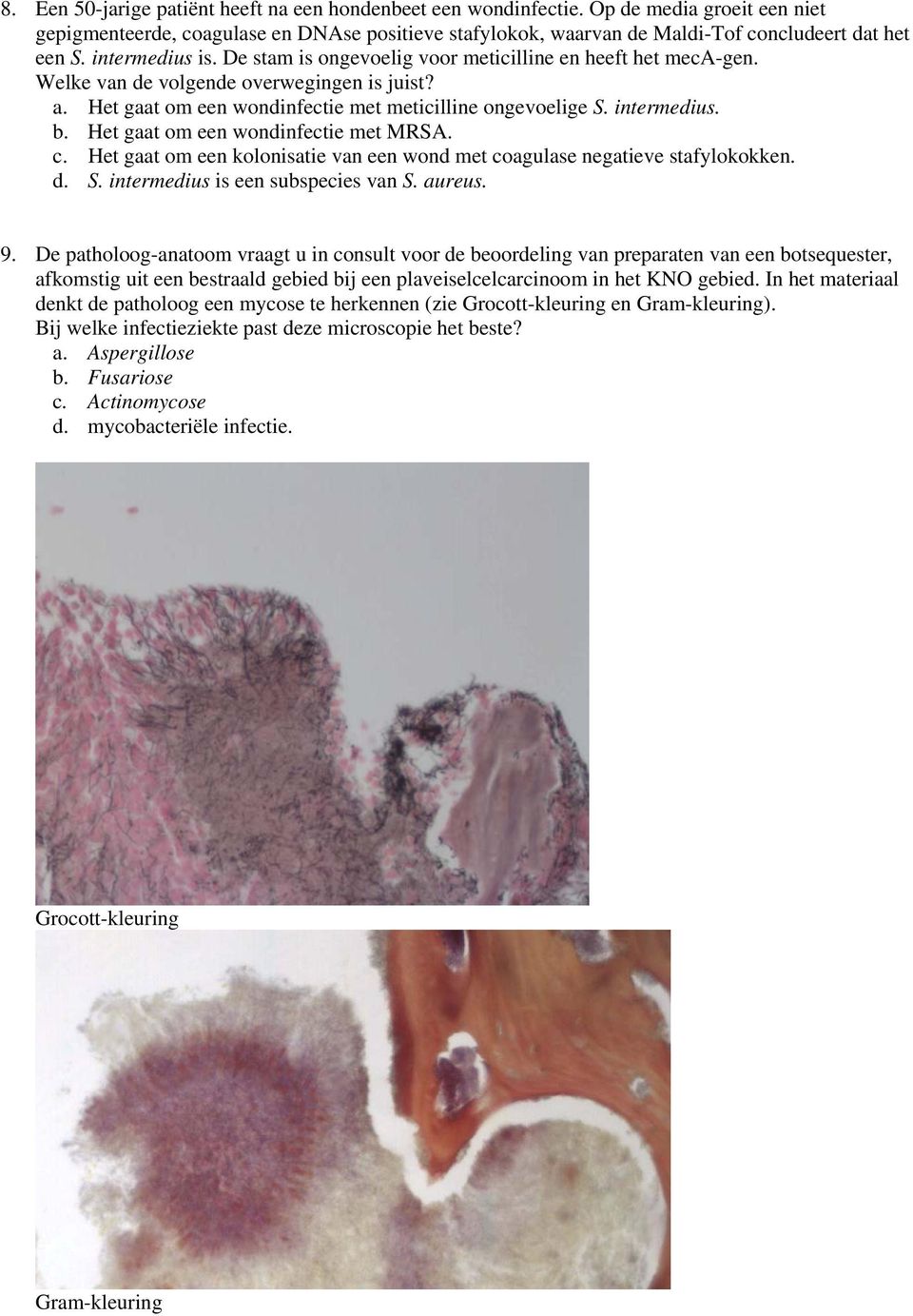 b. Het gaat om een wondinfectie met MRSA. c. Het gaat om een kolonisatie van een wond met coagulase negatieve stafylokokken. d. S. intermedius is een subspecies van S. aureus. 9.