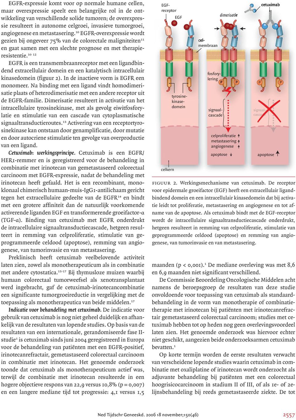 10 EGFR-overexpressie wordt gezien bij ongeveer 75% van de colorectale maligniteiten 11 en gaat samen met een slechte prognose en met therapieresistentie.