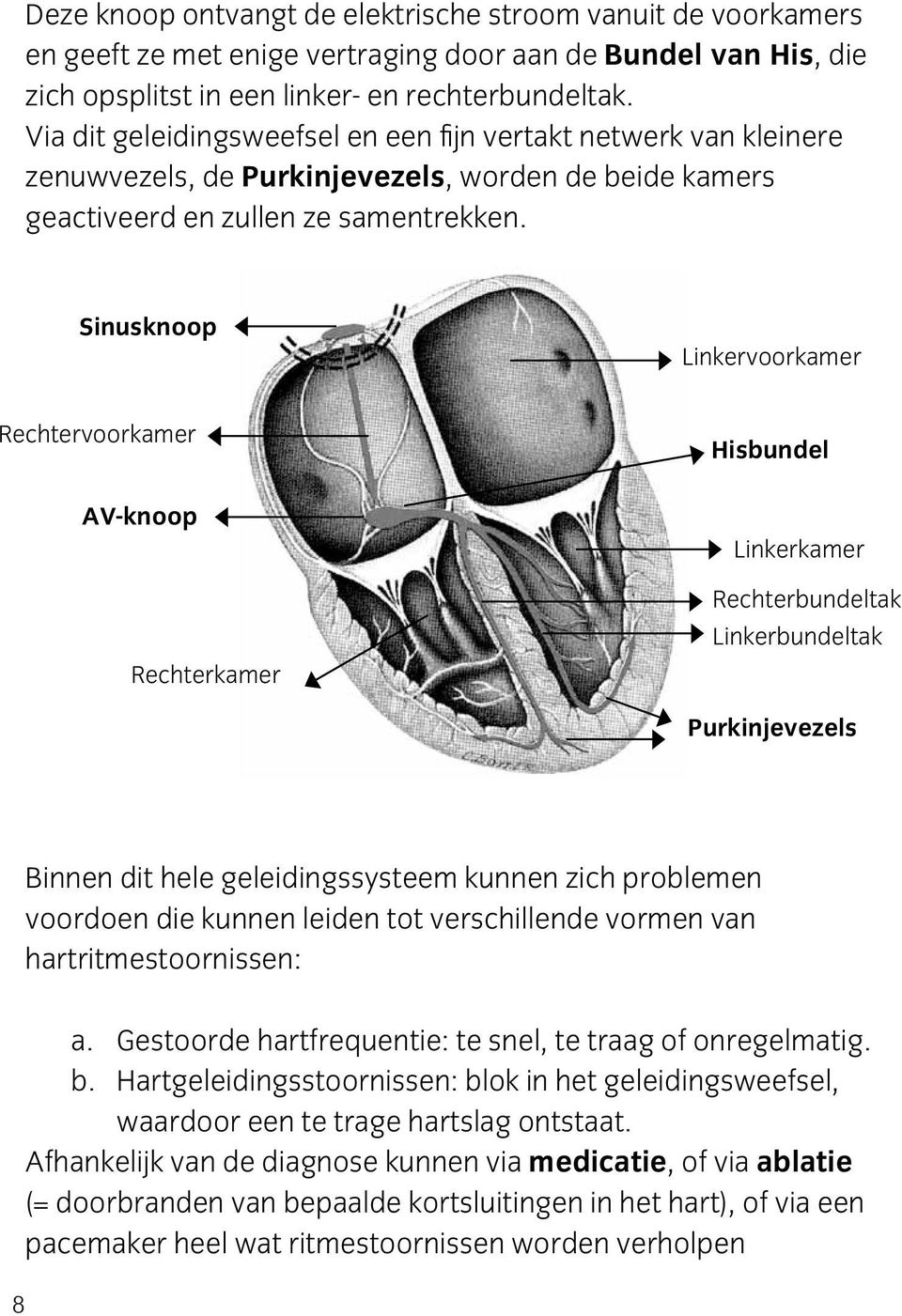 Sinusknoop Linkervoorkamer Rechtervoorkamer AV-knoop Rechterkamer Hisbundel Linkerkamer Rechterbundeltak Linkerbundeltak Purkinjevezels Binnen dit hele geleidingssysteem kunnen zich problemen