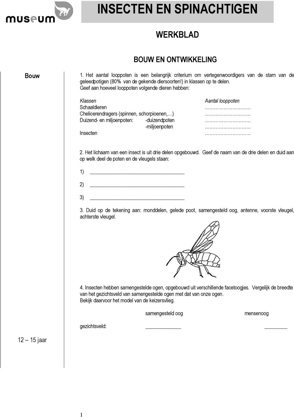 Geef aan hoeveel looppoten volgende dieren hebben: Klassen Aantal looppoten Schaaldieren Chelicerendragers (spinnen, schorpioenen, ) Duizend- en miljoenpoten: -duizendpoten -miljoenpoten Insecten 2.