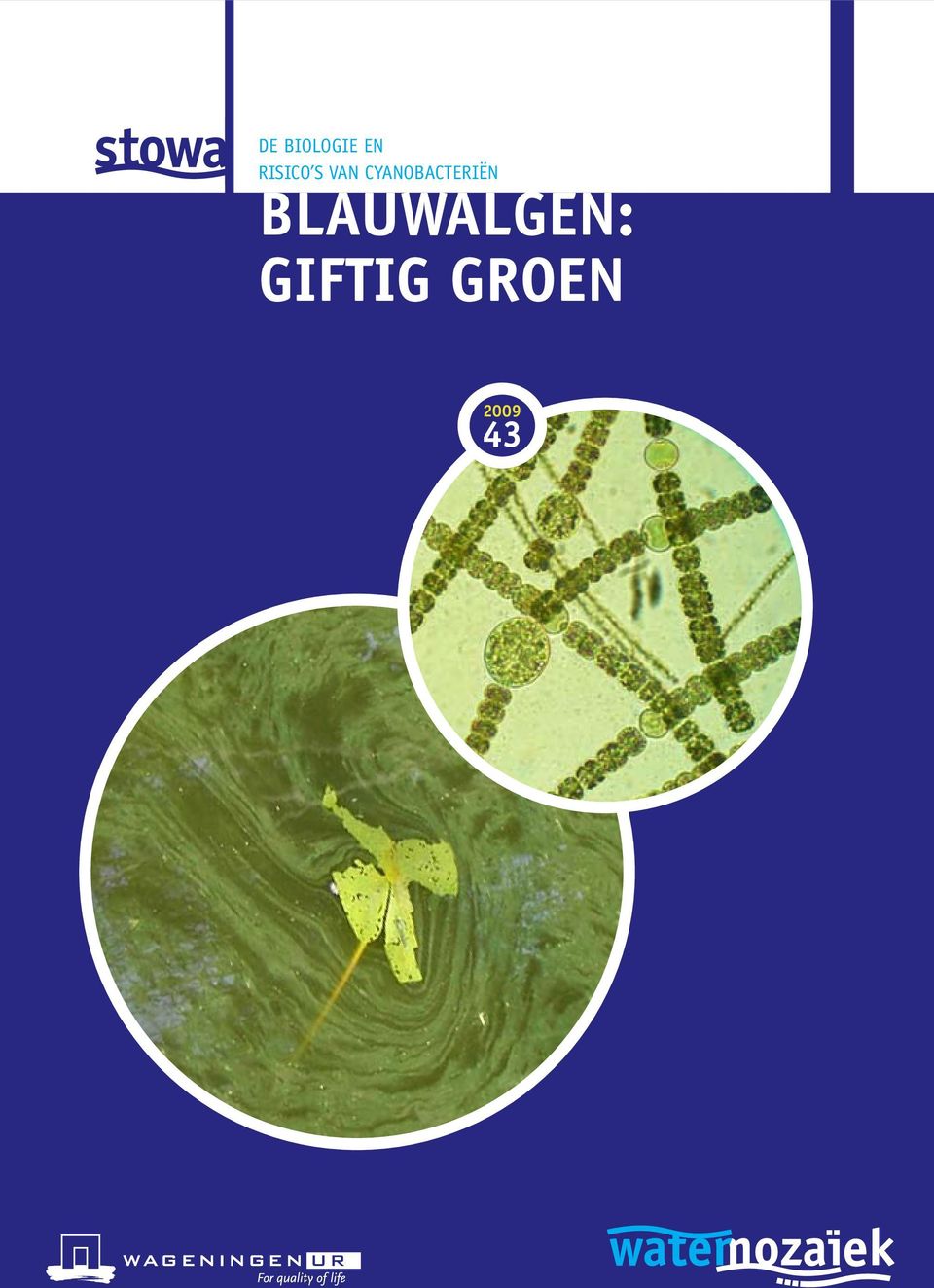 Blauwalgen: Giftig Groen