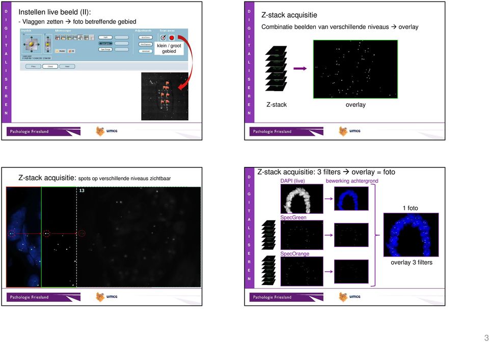 verschillende niveaus zichtbaar Z-stack overlay Z-stack acquisitie: 3 filters P (live) overlay