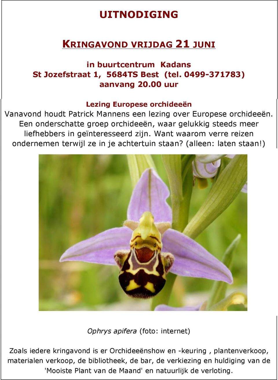 Een onderschatte groep orchideeën, waar gelukkig steeds meer liefhebbers in geïnteresseerd zijn.