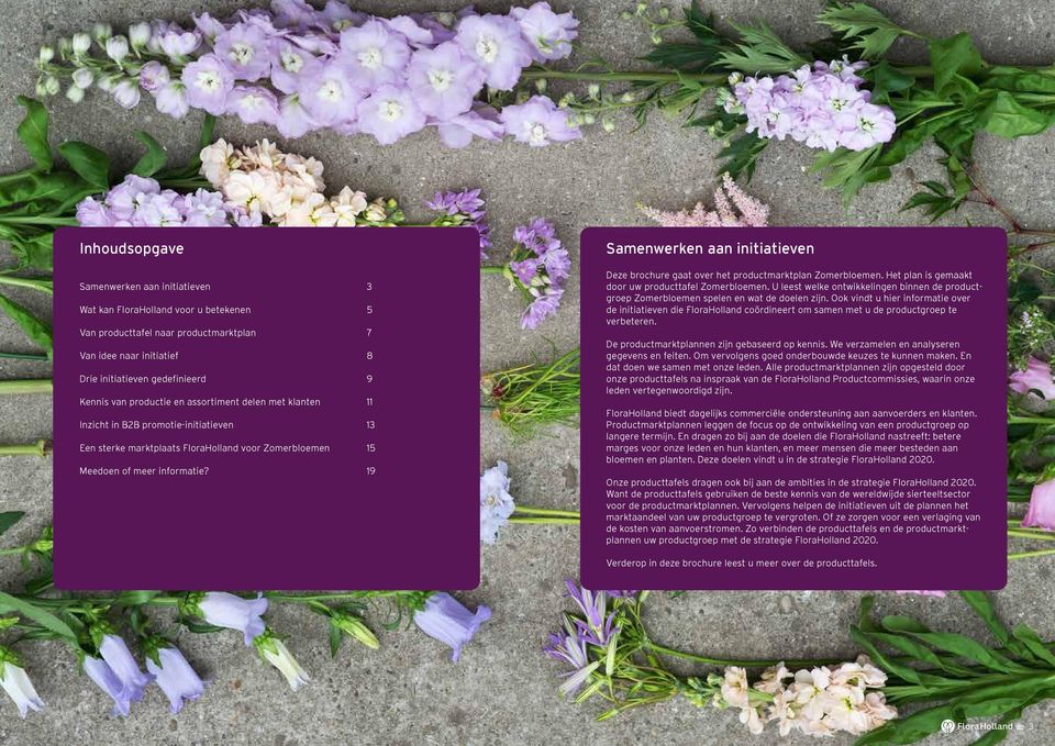 19 Samenwerken aan initiatieven Deze brochure gaat over het productmarktplan Zomerbloemen. Het plan is gemaakt door uw producttafel Zomerbloemen.