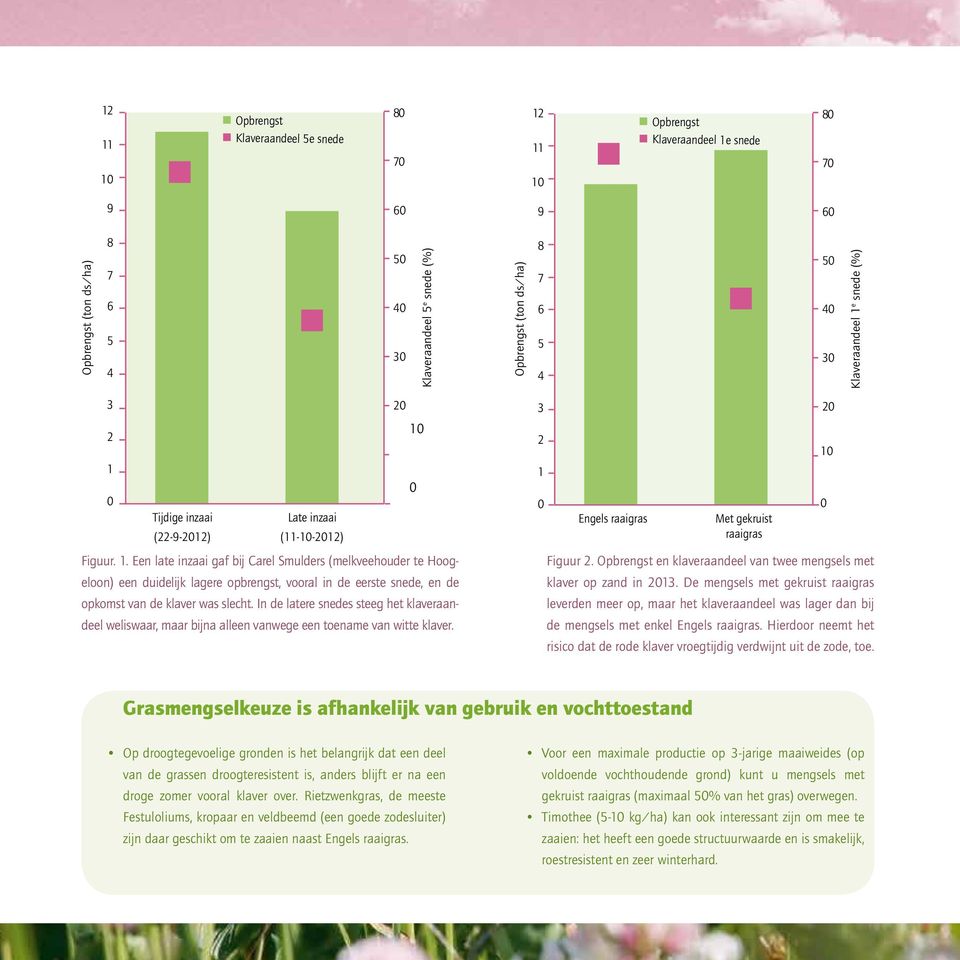 Een late inzaai gaf bij Carel Smulders (melkveehouder Gras-klaver te Hoogeloon) een duidelijk lagere opbrengst, vooral in de Puur eerste gras snede, en de opkomst 4 van de klaver was slecht.