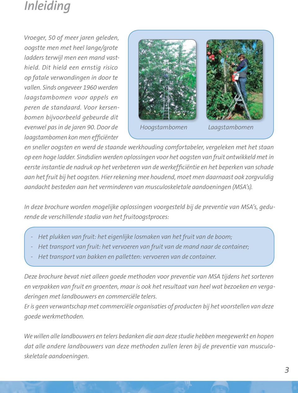 Door de laagstambomen kon men efficiënter Hoogstambomen Laagstambomen en sneller oogsten en werd de staande werkhouding comfortabeler, vergeleken met het staan op een hoge ladder.