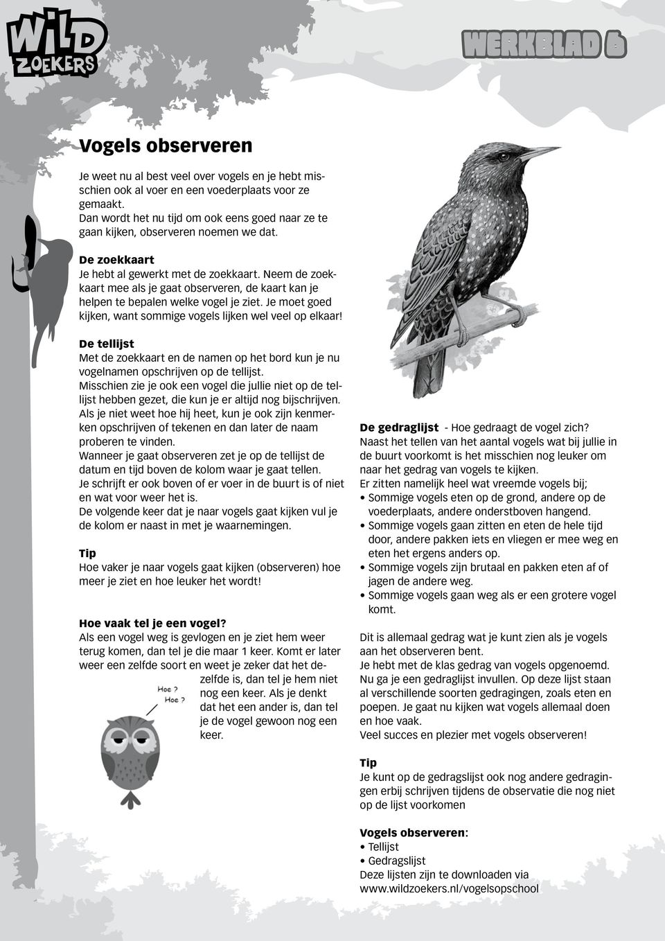 Neem de zoekkaart mee als je gaat observeren, de kaart kan je helpen te bepalen welke vogel je ziet. Je moet goed kijken, want sommige vogels lijken wel veel op elkaar!