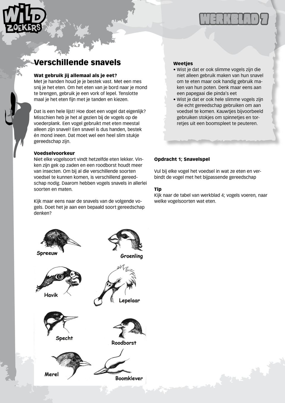 Misschien heb je het al gezien bij de vogels op de voederplank. Een vogel gebruikt met eten meestal alleen zijn snavel! Een snavel is dus handen, bestek én mond ineen.