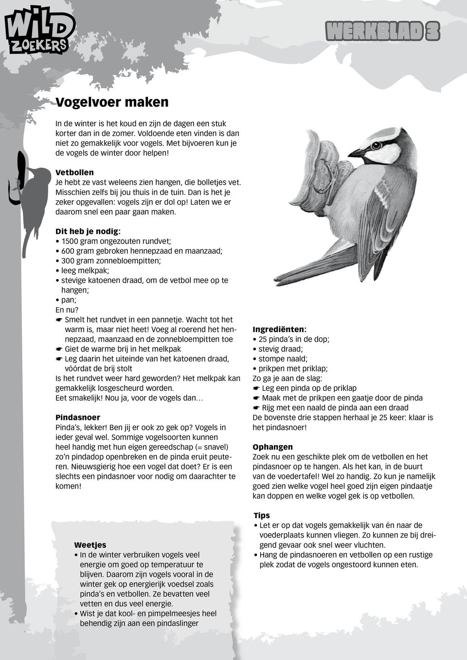 Dan is het je zeker opgevallen: vogels zijn er dol op! Laten we er daarom snel een paar gaan maken.