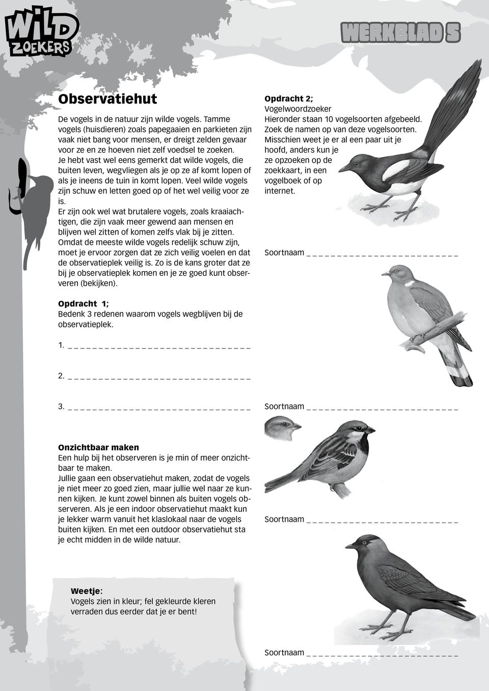 Je hebt vast wel eens gemerkt dat wilde vogels, die buiten leven, wegvliegen als je op ze af komt lopen of als je ineens de tuin in komt lopen.