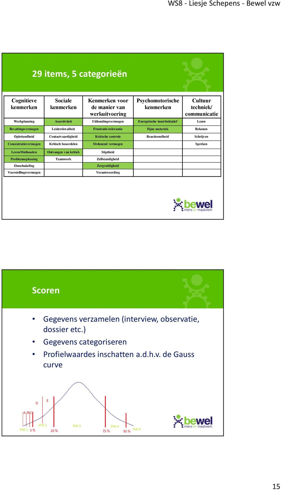 Contactvaardigheid Kritische controle Concentratievermogen Kritisch beoordelen Ordenend vermogen Leren/Onthouden Ontvangen van kritiek Stiptheid Probleemoplossing Teamwork Zelfstandigheid