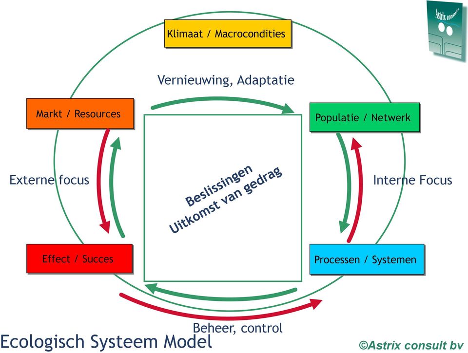 Interne Focus Effect / Succes Processen / Systemen