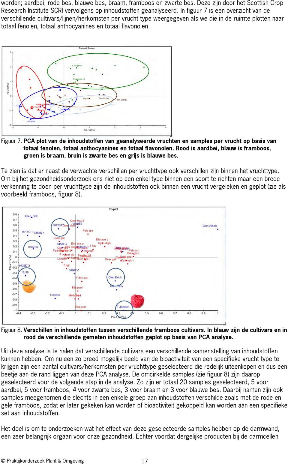 flavonolen. Figuur 7. PCA plot van de inhoudstoffen van geanalyseerde vruchten en samples per vrucht op basis van totaal fenolen, totaal anthocyanines en totaal flavonolen.