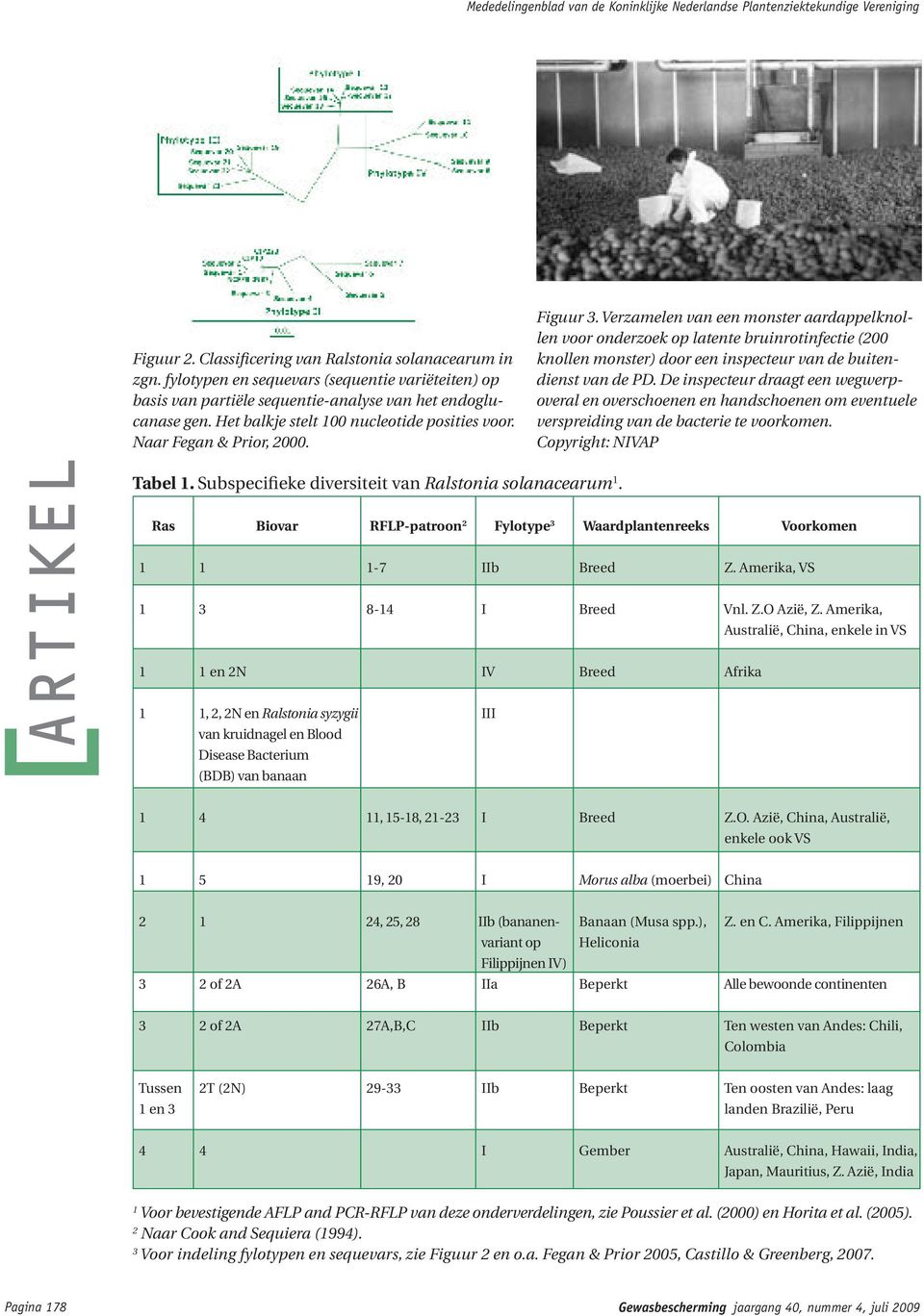 Ras Biovar RFLP-patroon 2 Fylotype 3 Waardplanten reeks Voorkomen 1 1 1-7 IIb Breed Z. Amerika, VS 1 3 8-14 I Breed Vnl. Z.O Azië, Z.