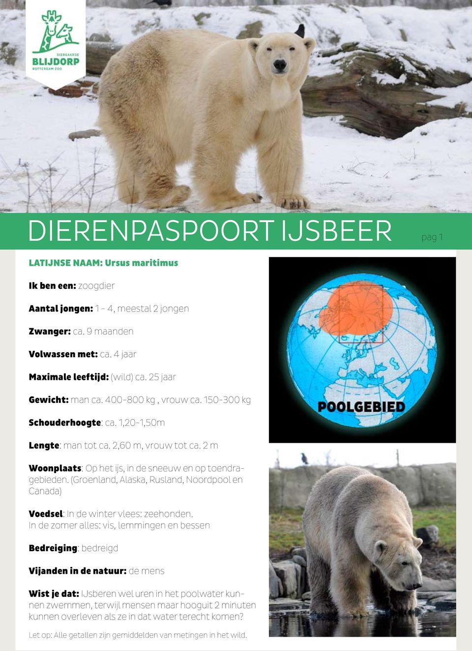 (Groenland, Alaska, Rusland, Noordpool en Canada) Voedsel: In de winter vlees: zeehonden.