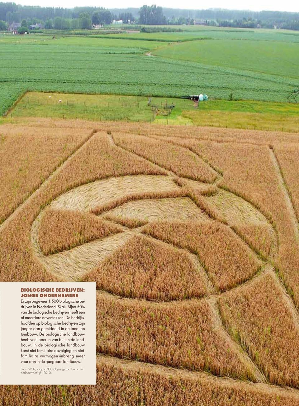 De bedrijfshoofden op biologische bedrijven zijn jonger dan gemiddeld in de land- en tuinbouw.