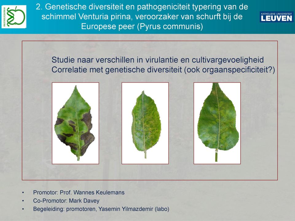 virulantie en cultivargevoeligheid Correlatie met genetische diversiteit (ook