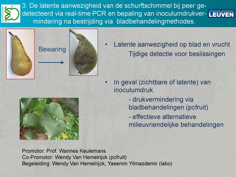 Bewaring Latente aanwezigheid op blad en vrucht Tijdige detectie voor beslissingen In geval (zichtbare of latente) van inoculumdruk.