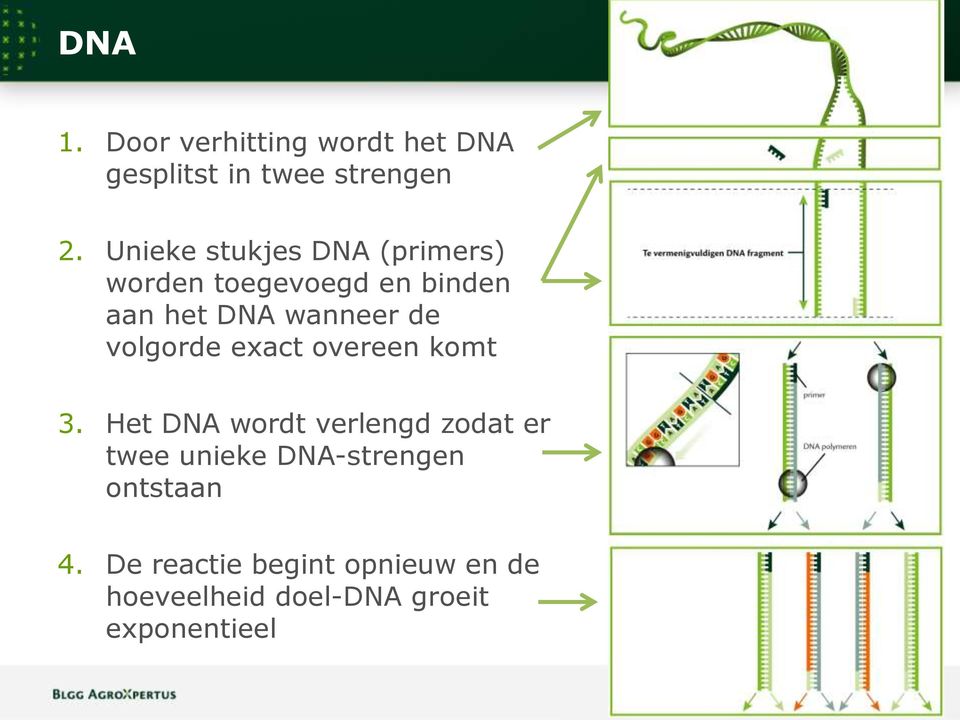 volgorde exact overeen komt 3.