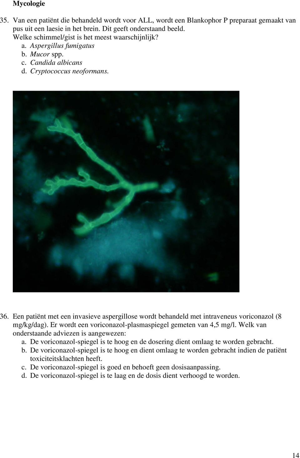 Een patiënt met een invasieve aspergillose wordt behandeld met intraveneus voriconazol (8 mg/kg/dag). Er wordt een voriconazol-plasmaspiegel gemeten van 4,5 mg/l.