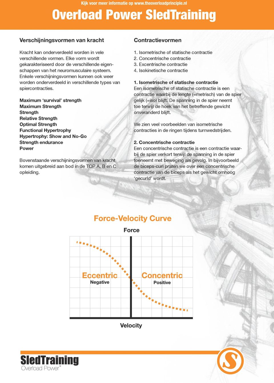 Maximum survival strength Maximum Strength Strength Relative Strength Optimal Strength Functional Hypertrophy Hypertrophy: Show and No-Go Strength endurance Power Bovenstaande verschijningsvormen van