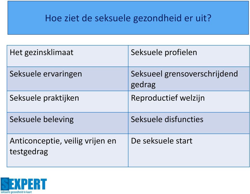 beleving Anticonceptie, veilig vrijen en testgedrag Seksuele