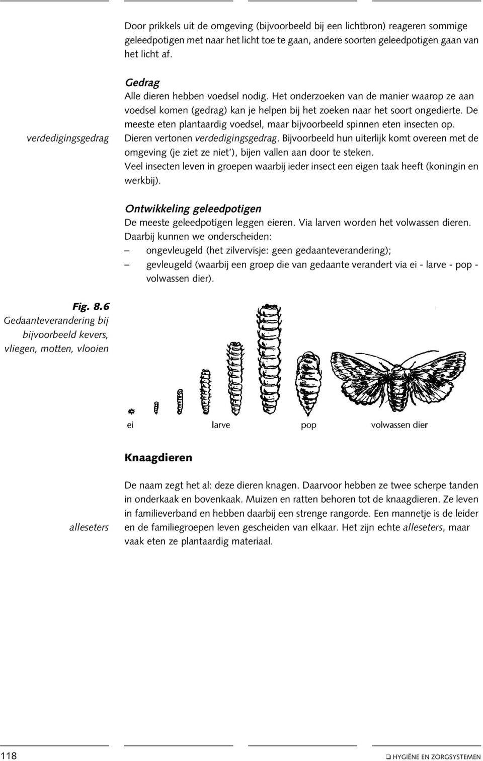 De meeste eten plantaardig voedsel, maar bijvoorbeeld spinnen eten insecten op. Dieren vertonen verdedigingsgedrag.