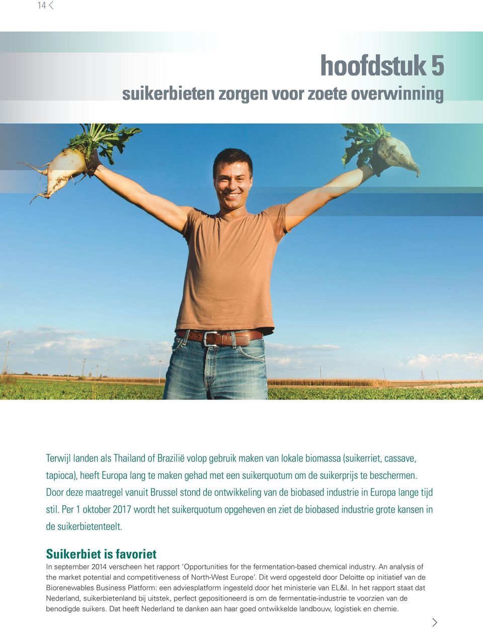 Per 1 oktober 2017 wordt het suikerquotum opgeheven en ziet de biobased industrie grote kansen in de suikerbietenteelt.