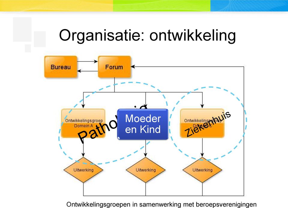 Ontwikkelingsgroepen in