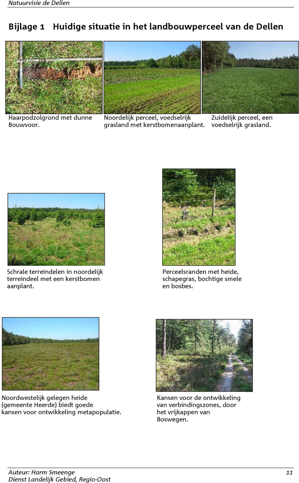 Schrale terreindelen in noordelijk terreindeel met een kerstbomen aanplant. Perceelsranden met heide, schapegras, bochtige smele en bosbes.