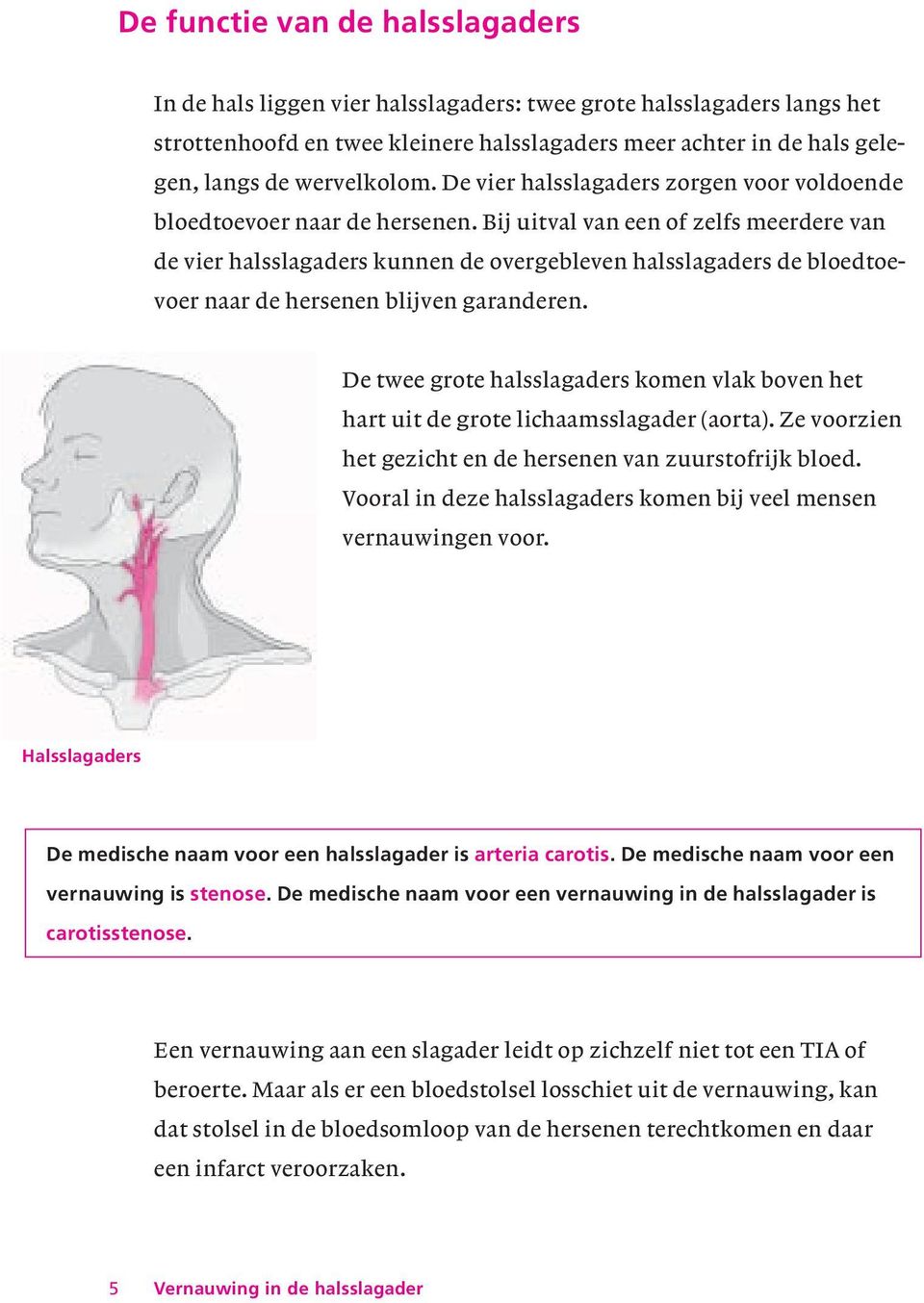 Bij uitval van een of zelfs meerdere van de vier halsslagaders kunnen de overgebleven halsslagaders de bloedtoevoer naar de hersenen blijven garanderen.