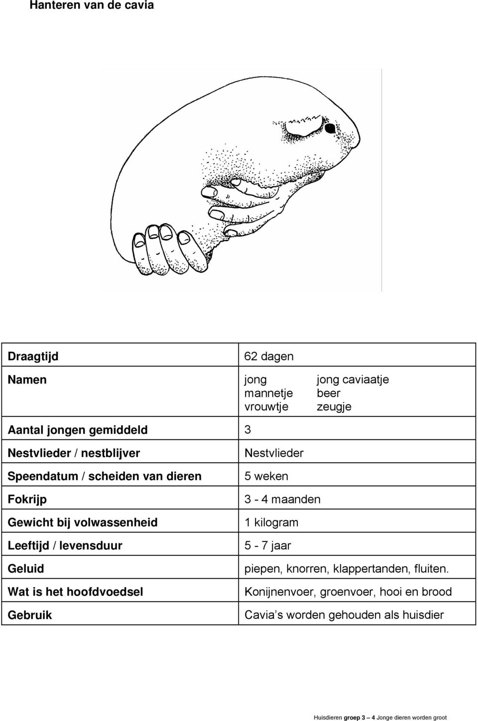 Leeftijd / levensduur Geluid Wat is het hoofdvoedsel Gebruik Nestvlieder 5 weken 3-4 maanden 1 kilogram 5-7