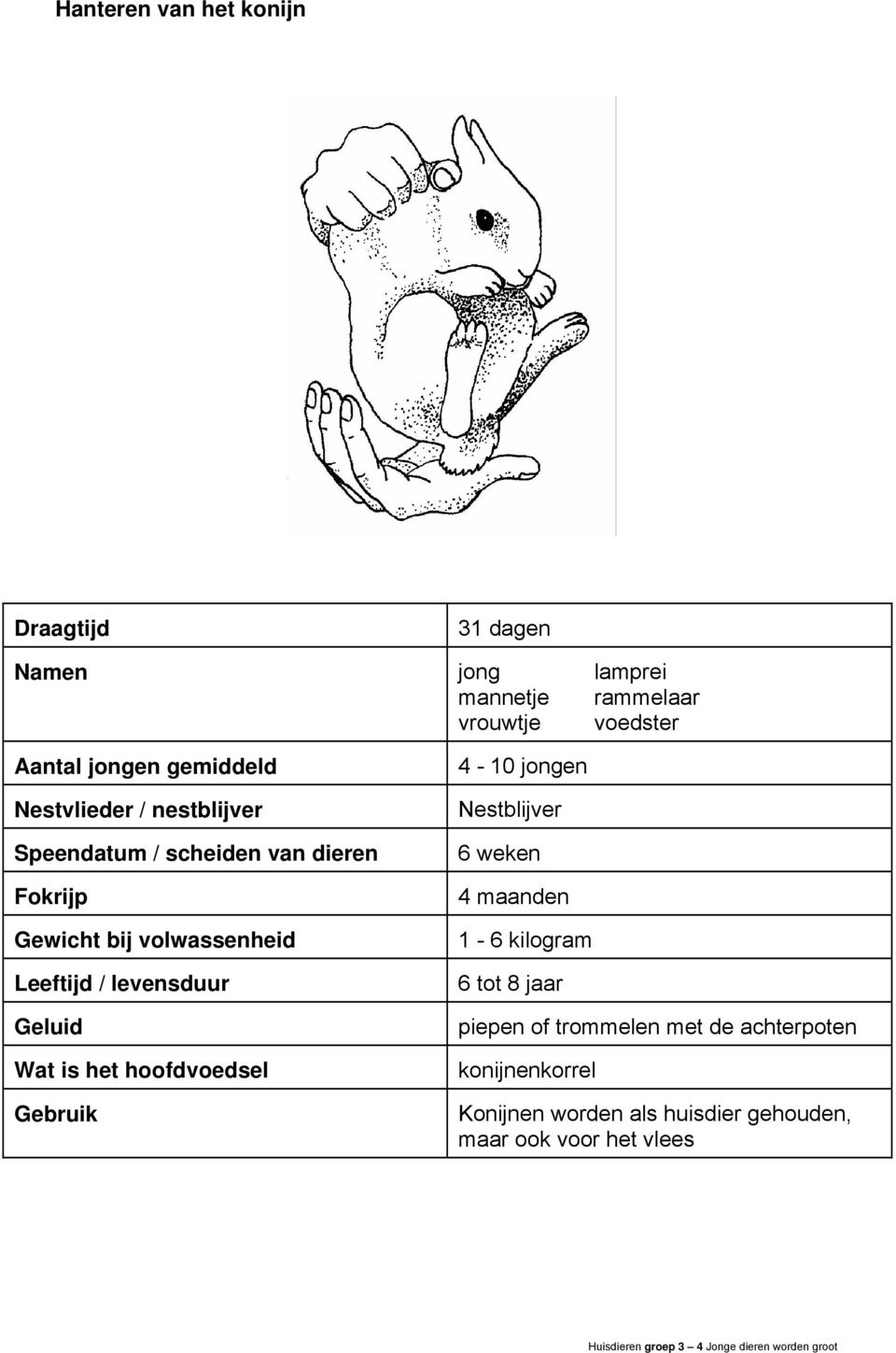 levensduur Geluid Wat is het hoofdvoedsel Gebruik 4-10 jongen Nestblijver 6 weken 4 maanden 1-6 kilogram 6 tot 8