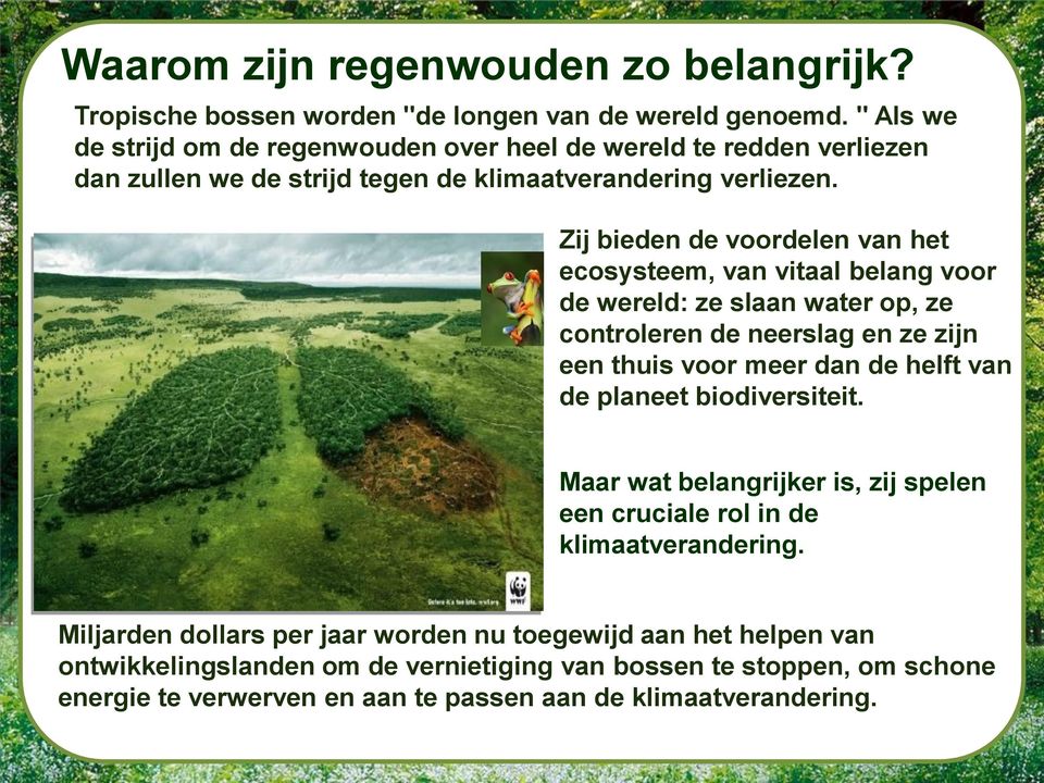 Zij bieden de voordelen van het ecosysteem, van vitaal belang voor de wereld: ze slaan water op, ze controleren de neerslag en ze zijn een thuis voor meer dan de helft van de