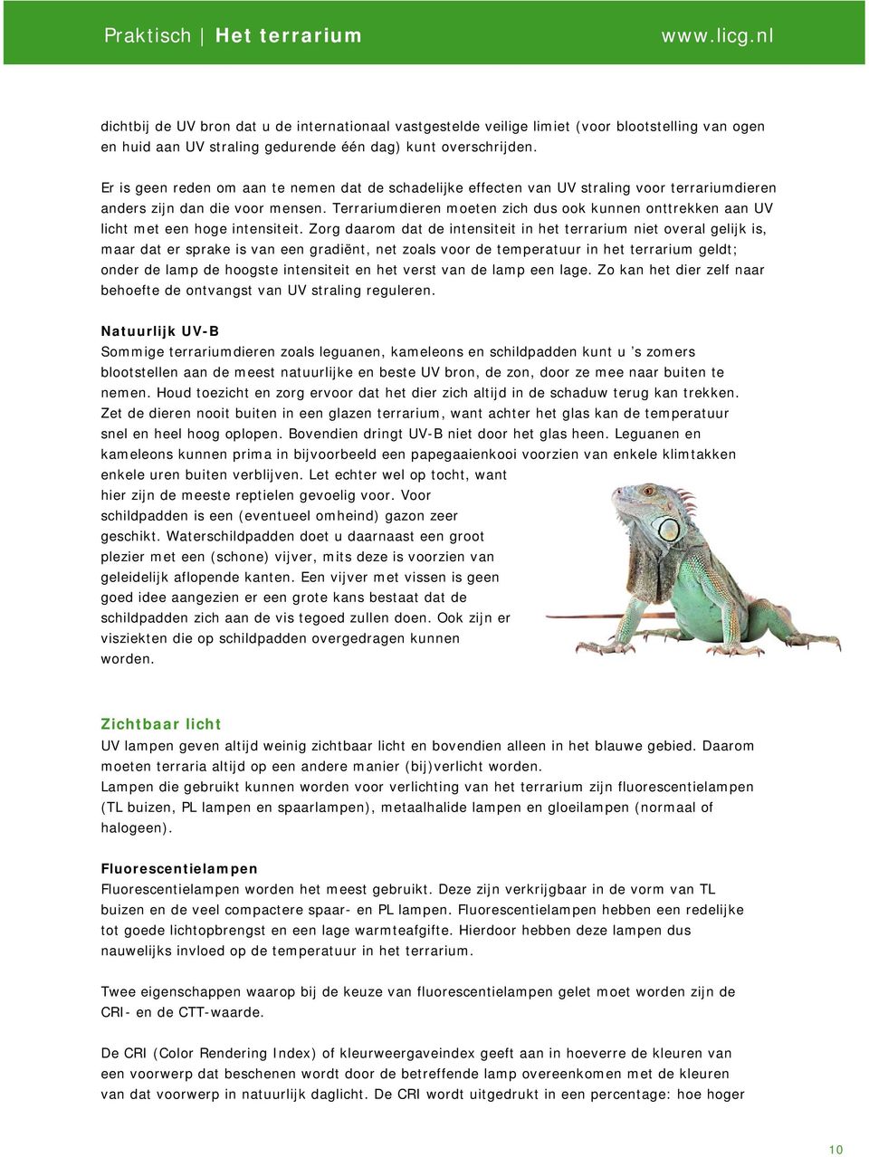 Terrariumdieren moeten zich dus ook kunnen onttrekken aan UV licht met een hoge intensiteit.