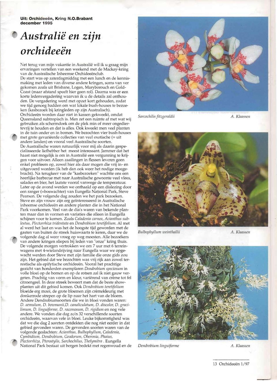 Brabant december 1995 AustralicO en zijn orchideecon et terug van mijn va kantie in Australie wil ik u graag mijn ervaringen vertellen van een weekend met de Mackay-kring van de Au trali ~c he