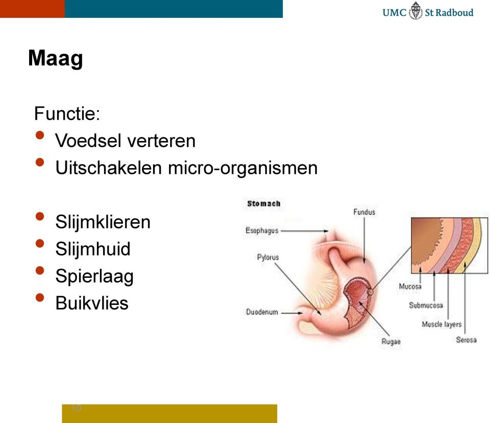 micro-organismen