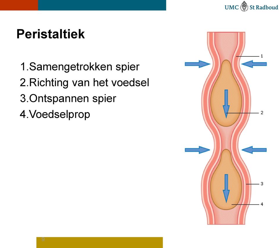 Richting van het voedsel