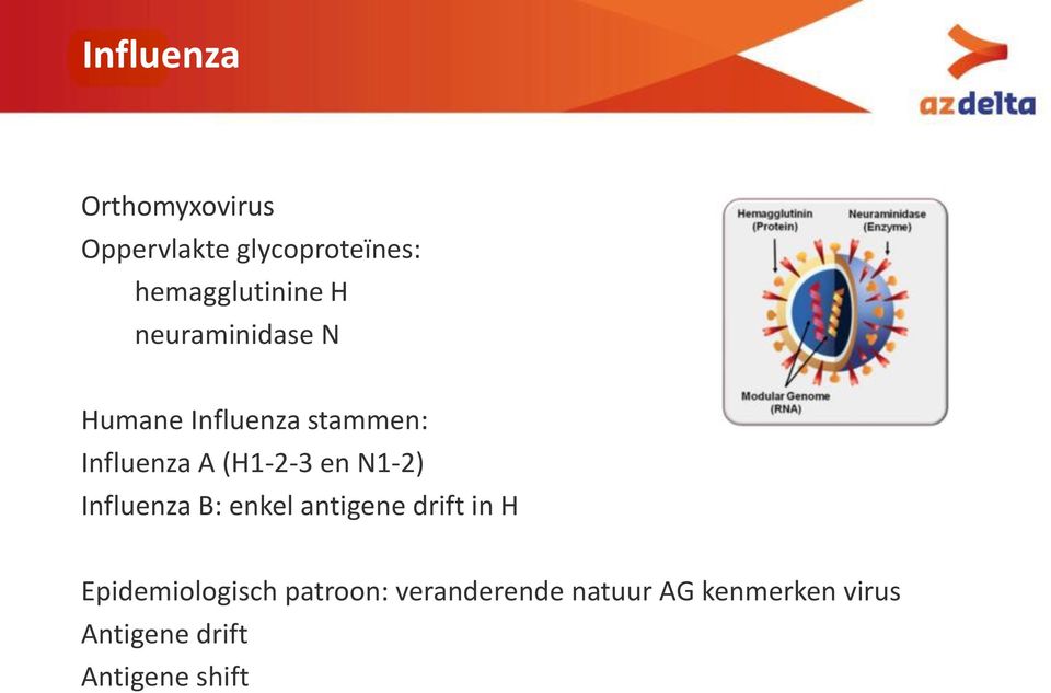 N1-2) Influenza B: enkel antigene drift in H Epidemiologisch