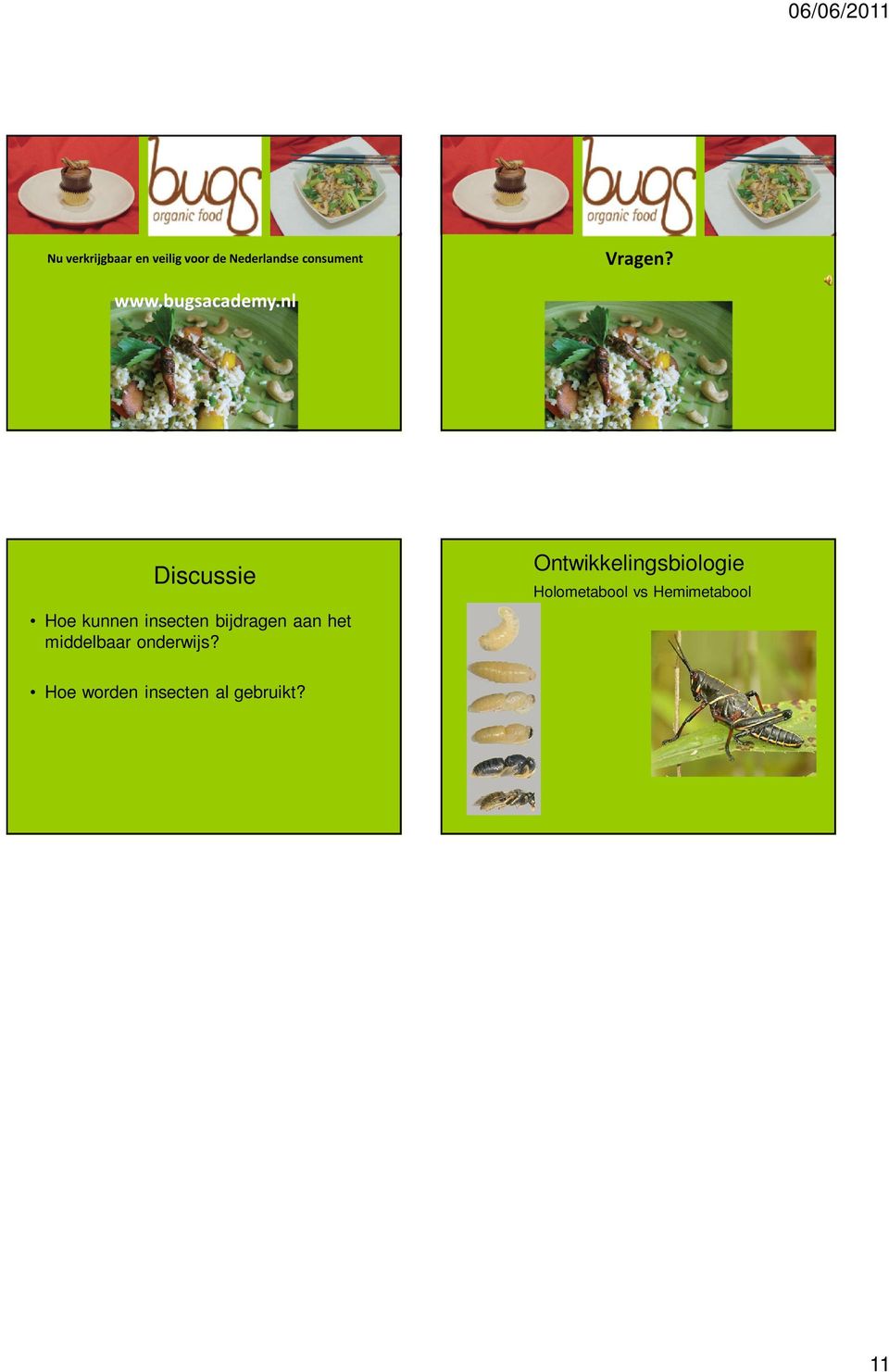 nl Discussie Hoe kunnen insecten bijdragen aan het