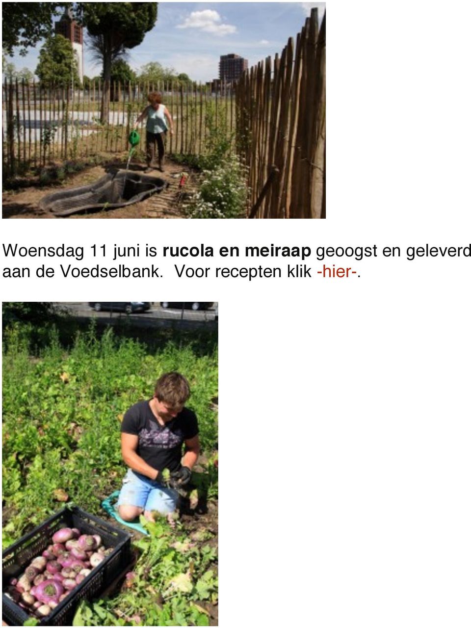 en geleverd aan de