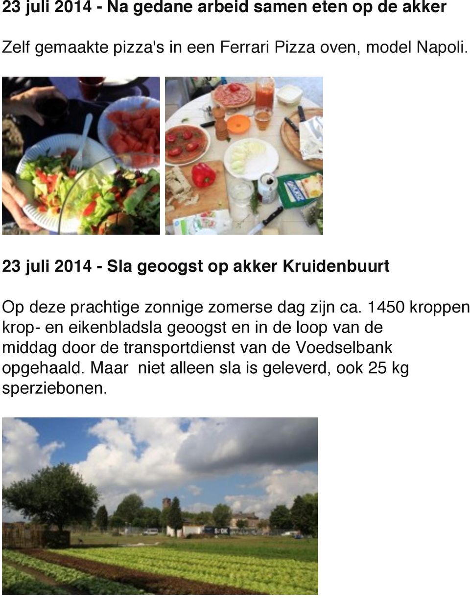 23 juli 2014 - Sla geoogst op akker Kruidenbuurt Op deze prachtige zonnige zomerse dag zijn ca.