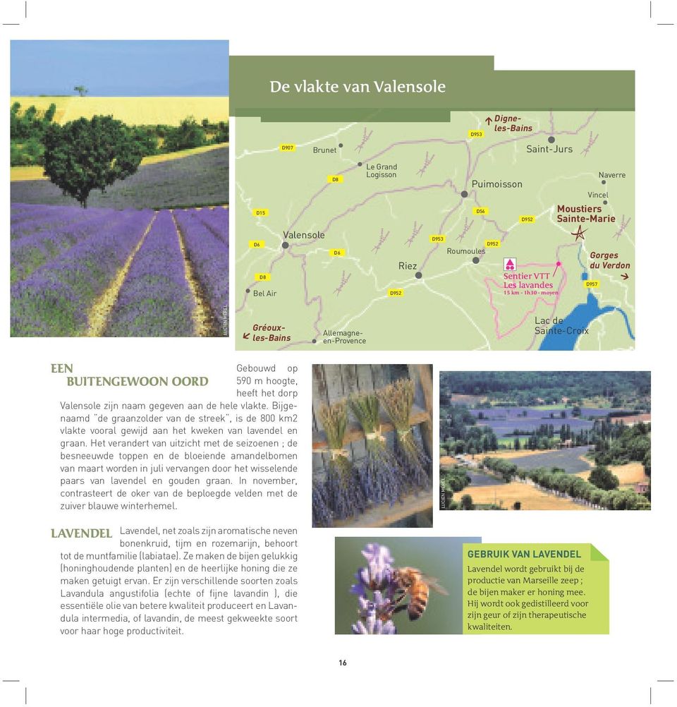 het dorp Valensole zijn naam gegeven aan de hele vlakte. Bijgenaamd de graanzolder van de streek, is de 800 km2 vlakte vooral gewijd aan het kweken van lavendel en graan.