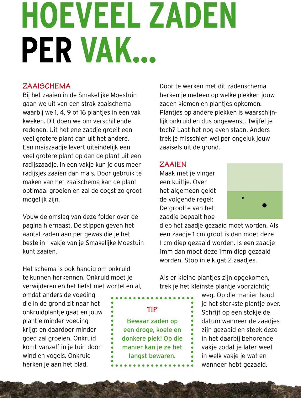 Een maiszaadje levert uiteindelijk een veel grotere plant op dan de plant uit een radijszaadje. In een vakje kun je dus meer radijsjes zaaien dan mais.