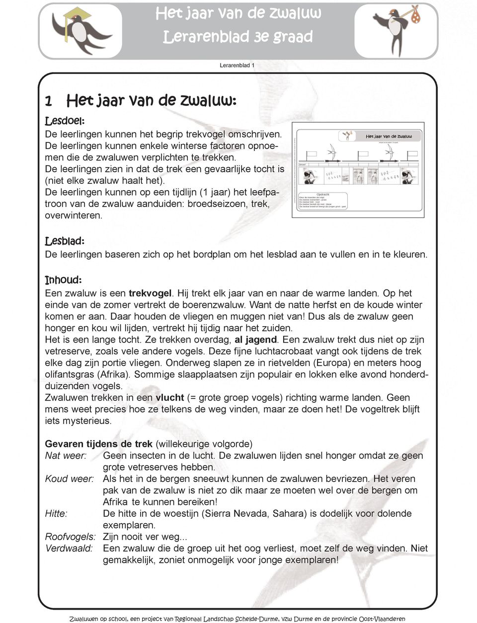 De leerlingen kunnen op een tijdlijn (1 jaar) het leefpatroon van de zwaluw aanduiden: broedseizoen, trek, overwinteren.